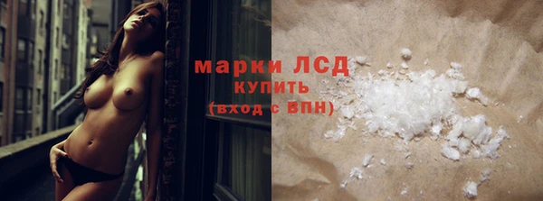 ПСИЛОЦИБИНОВЫЕ ГРИБЫ Заволжье