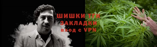 ПСИЛОЦИБИНОВЫЕ ГРИБЫ Заволжье