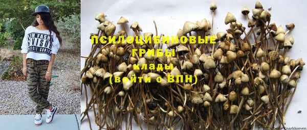 ПСИЛОЦИБИНОВЫЕ ГРИБЫ Заволжье