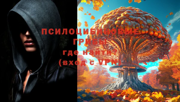 спиды Заводоуковск