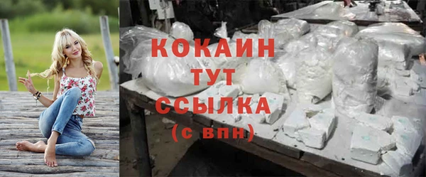 спиды Заводоуковск